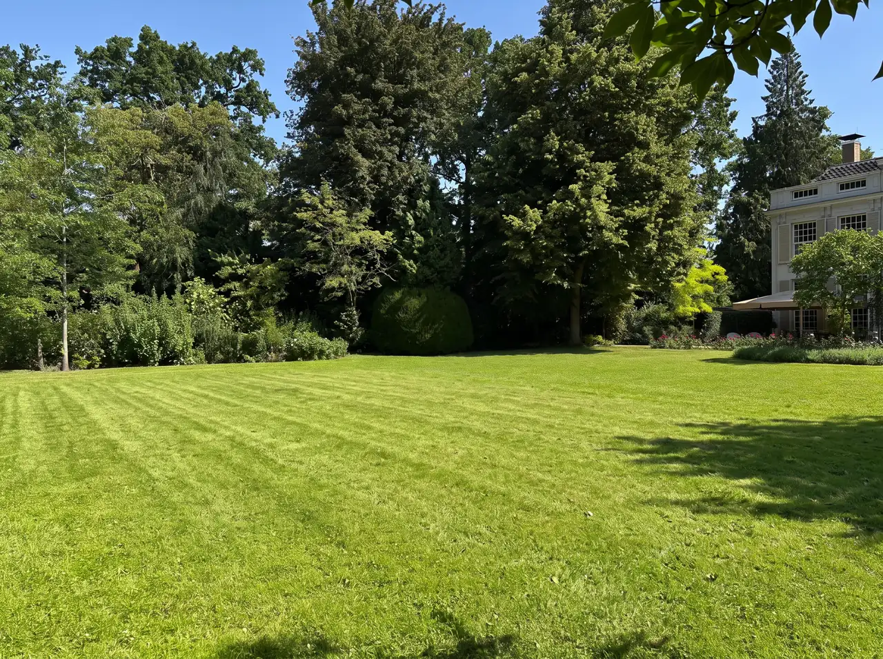 Leeg gazon bij een villa, de dag voor het feest